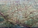 Rain Forest Green