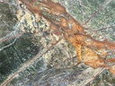 Rain Forest Green