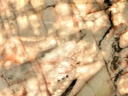 Botanic Crystal