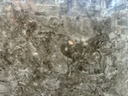 Sicily Grey (New Henry V)