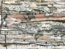 Onyx Pink