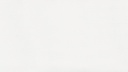 Intense White (6011)