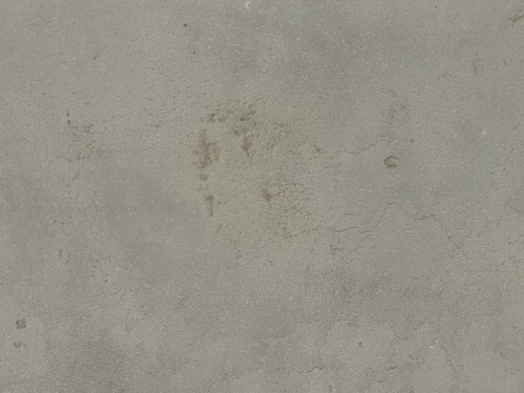 Atlas Beige