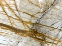 Calacatta Gold