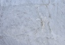 Cristallo Vitrum White 