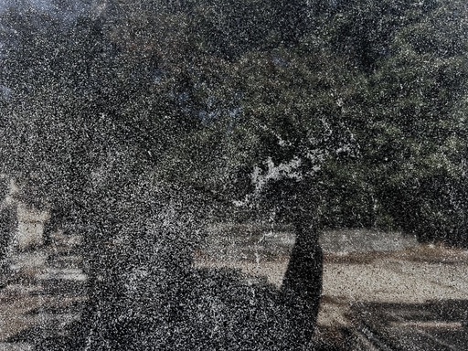 Virginia Mist/Black - gepolijst