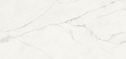 Circa (503 S) - silk