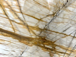 Calacatta Gold - gepolijst